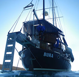 Segelyacht-mit-Skipper-Boot-Interior-07