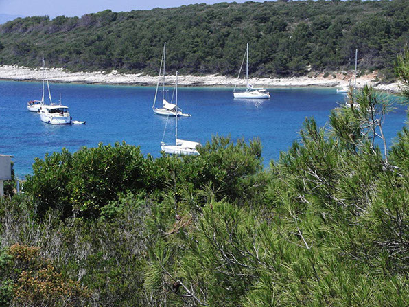 Segelyacht-mit-Skipper-Nature-37