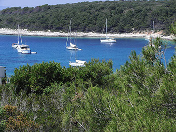 Segelyacht-mit-Skipper-Nature-37