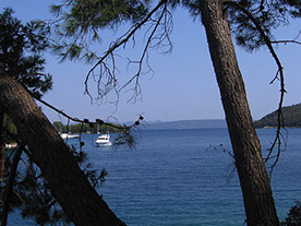Segelyacht-mit-Skipper-Nature-05