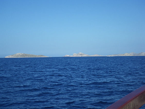 Segelyacht-mit-Skipper-Nature-20