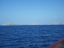 Segelyacht-mit-Skipper-Nature-20